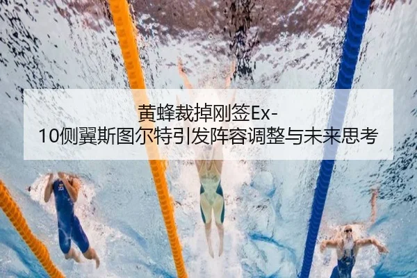 黄蜂裁掉刚签Ex-10侧翼斯图尔特引发阵容调整与未来思考
